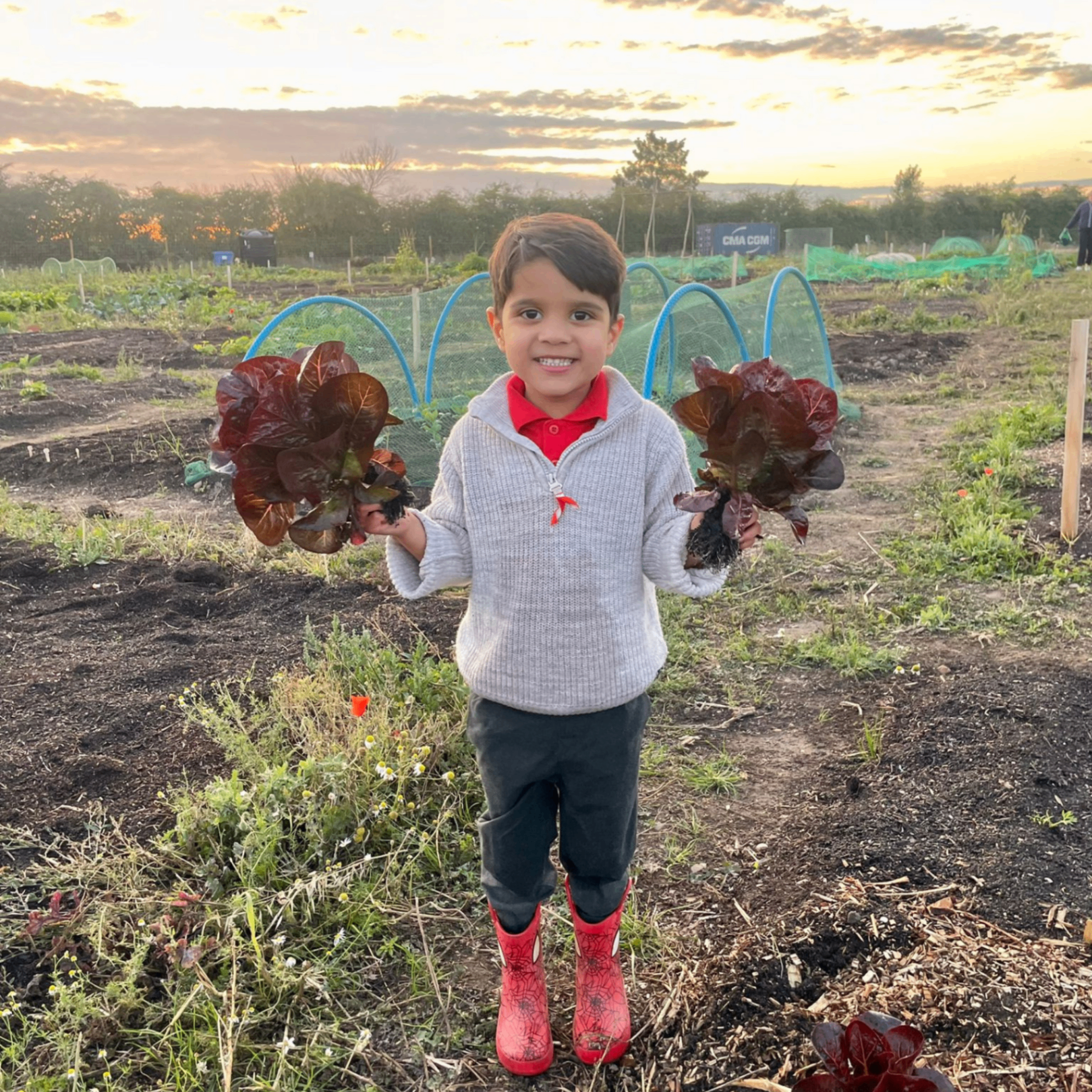 Children learning to grow vegetables at allotment garden