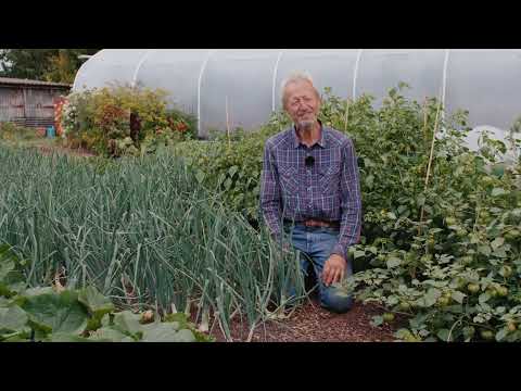 A still from the lesson Annuals and Perennials
