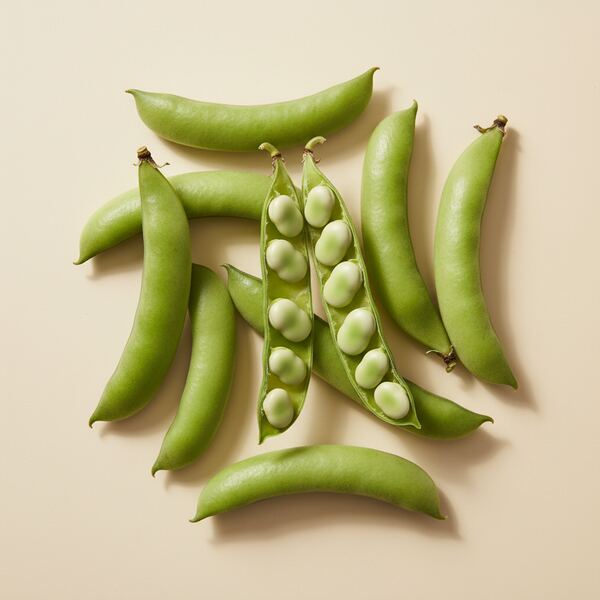Broad Bean - Eleonora seed