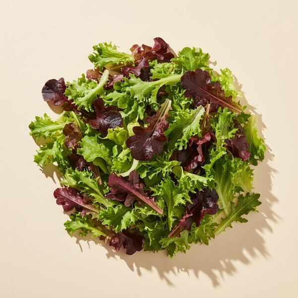 Lettuce Mix seed