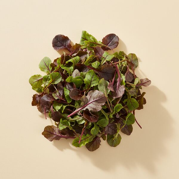 Mustard - Edible Red seed
